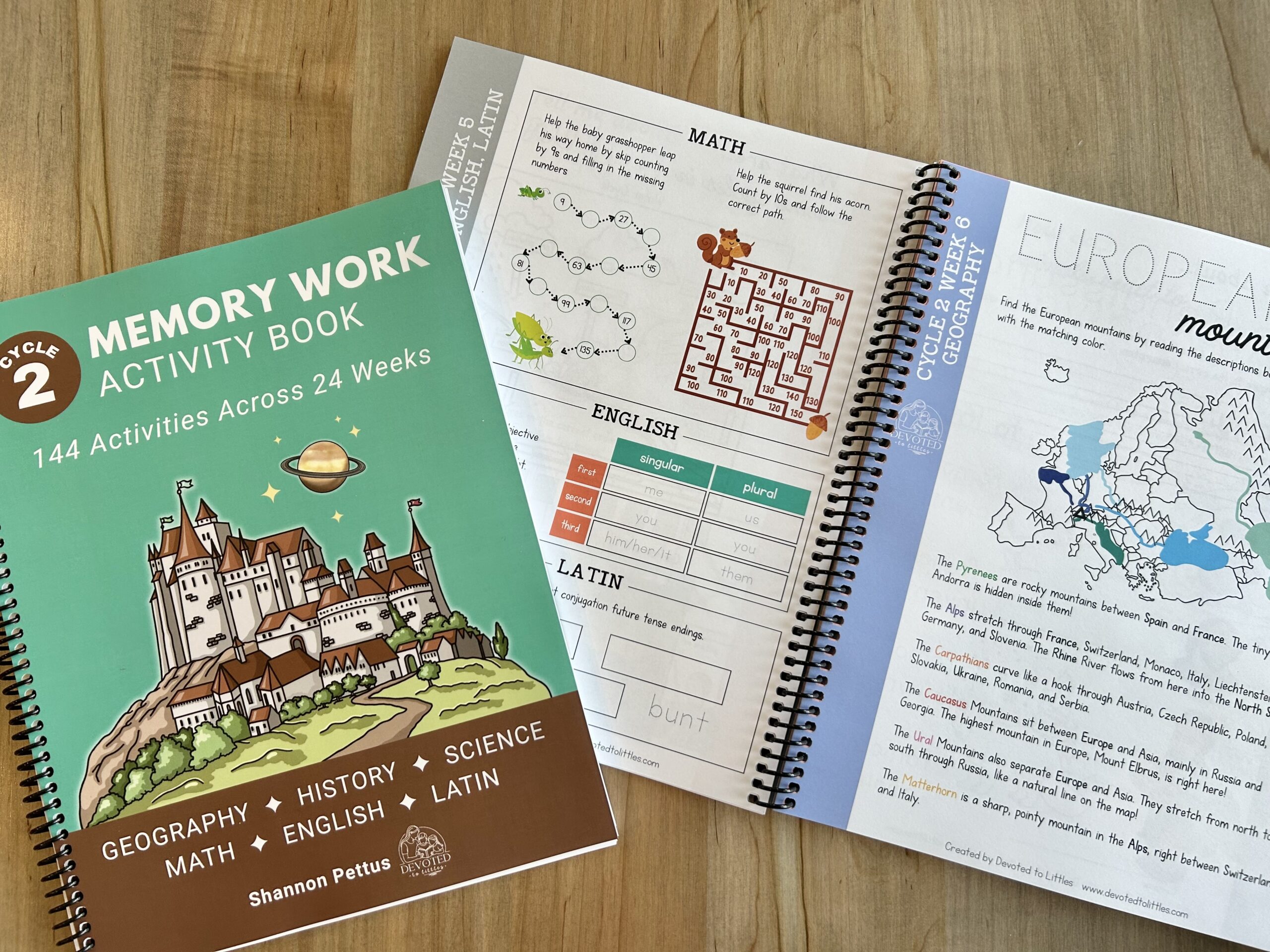 cycle 2 memory work activity book