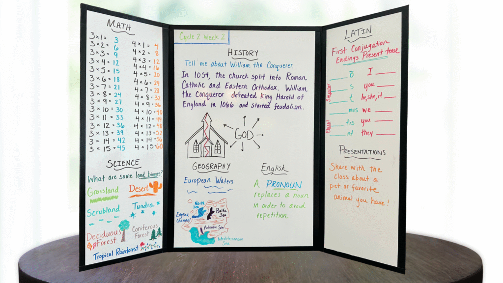cycle 2 week 2 tutor board
