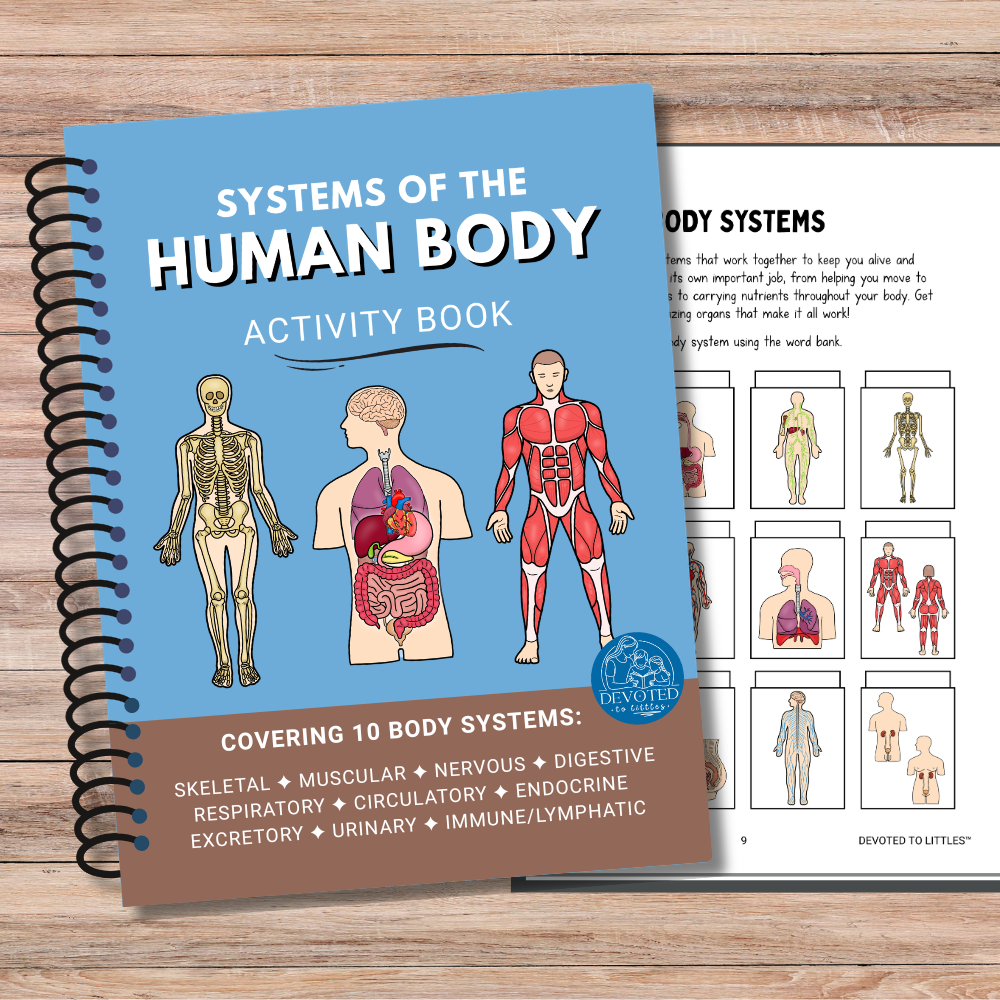 human body activity book
