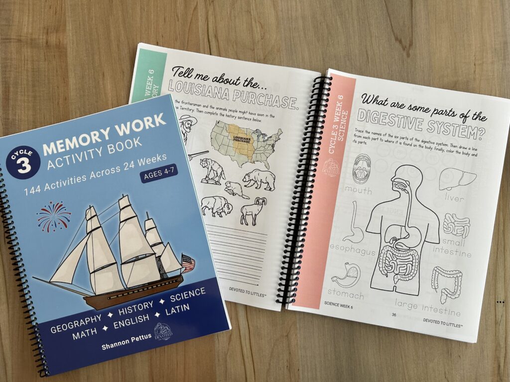 cycle 3 memory work activity book