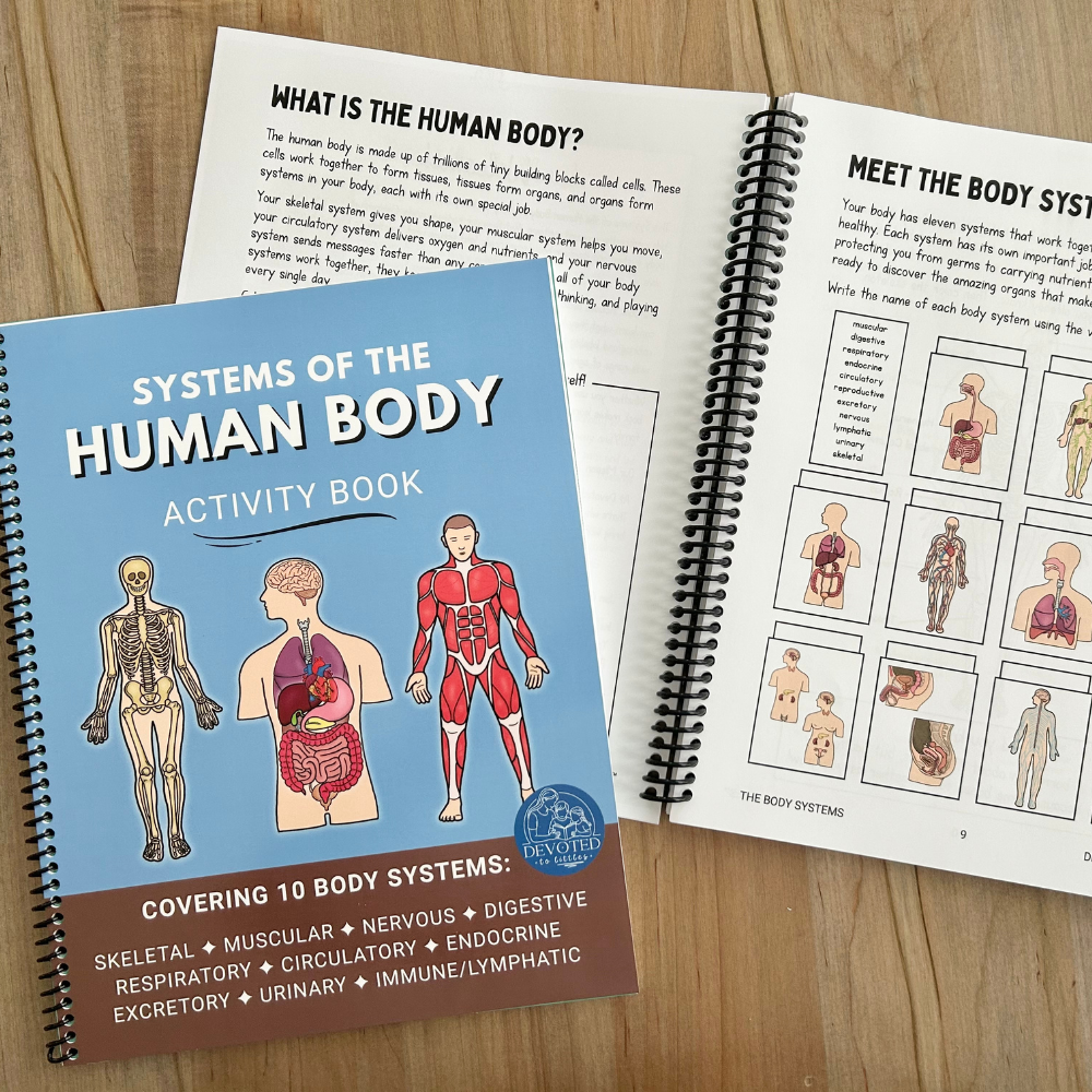 systems of the human body activity book