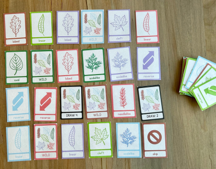 leaf shape Uno game cards laying out on the table