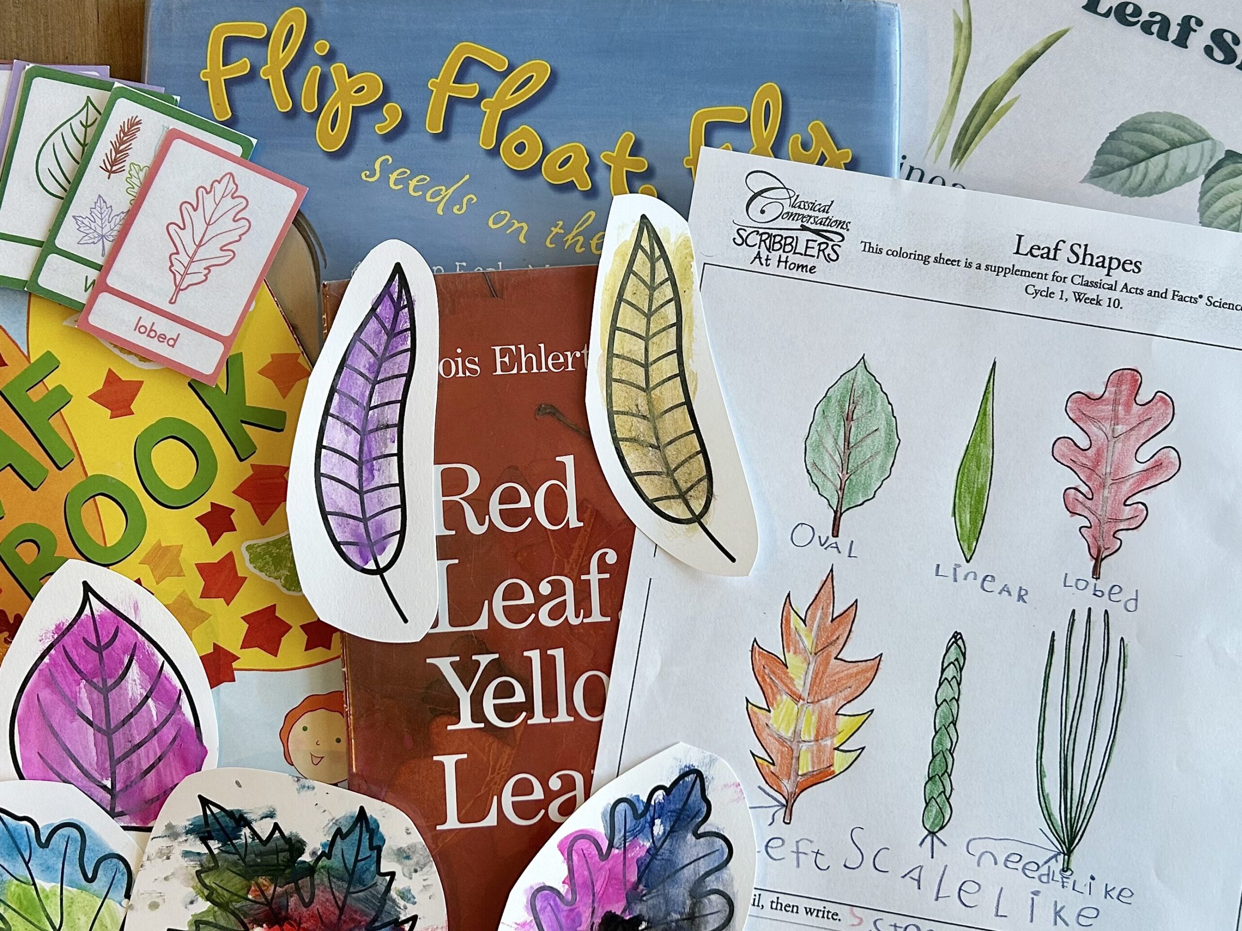 science picture books and activities about leaves on table