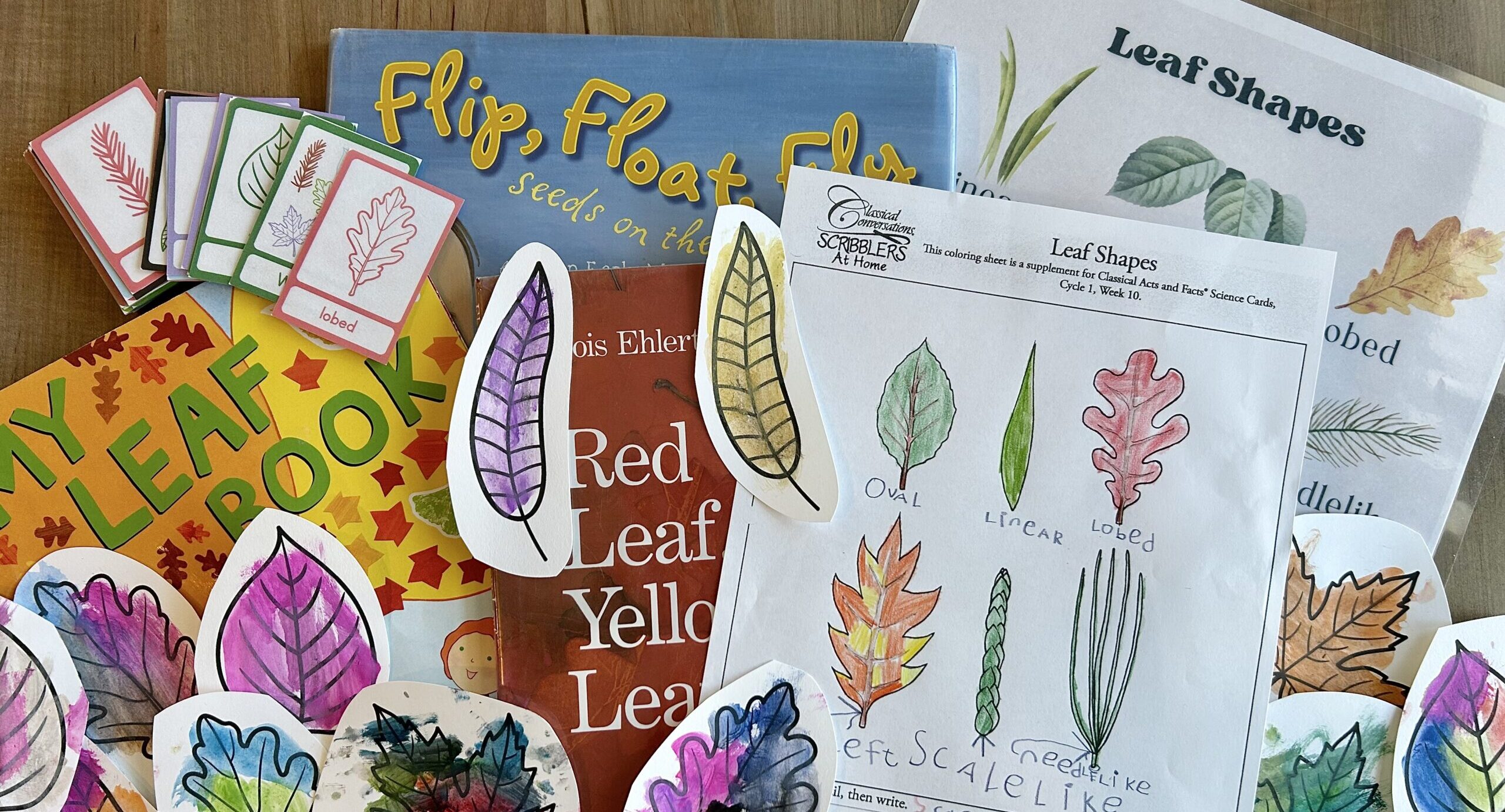 science activities out on kitchen table