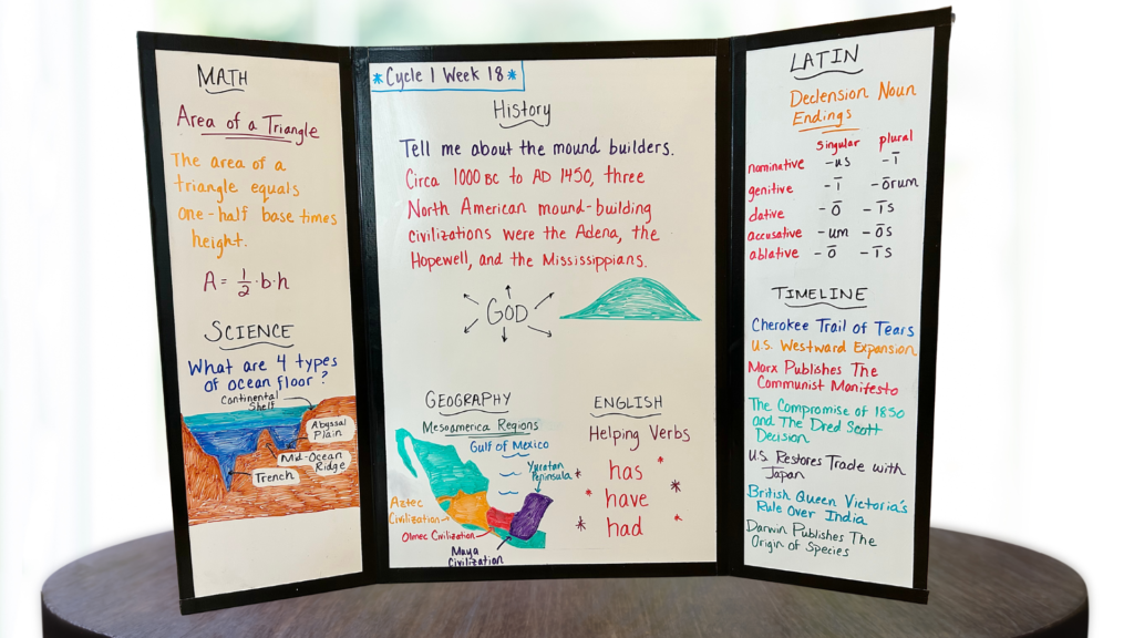 Cycle 1 Week 18 Tutor Board