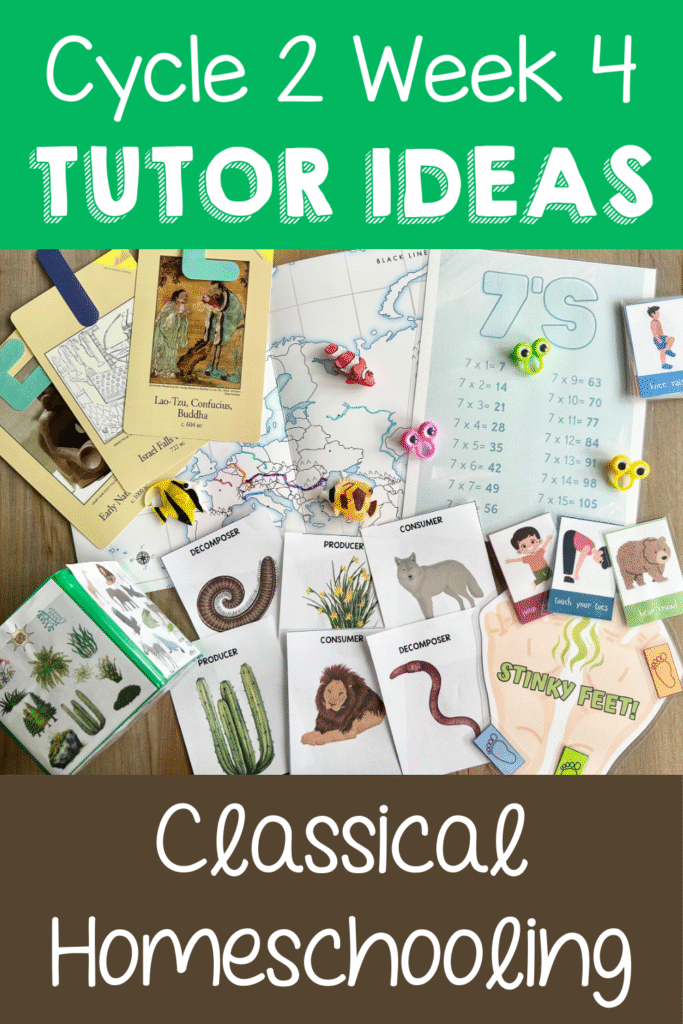 cycle 2 week 4 tutor ideas pinterest pin