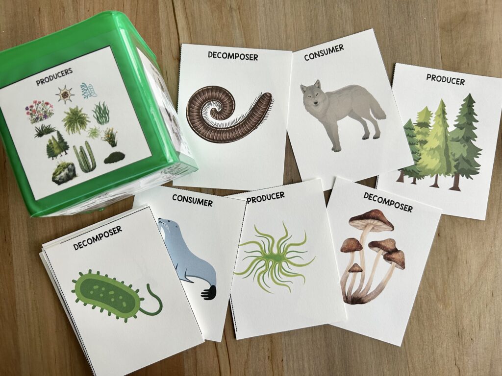producers, consumers, and decomposers dice and cards