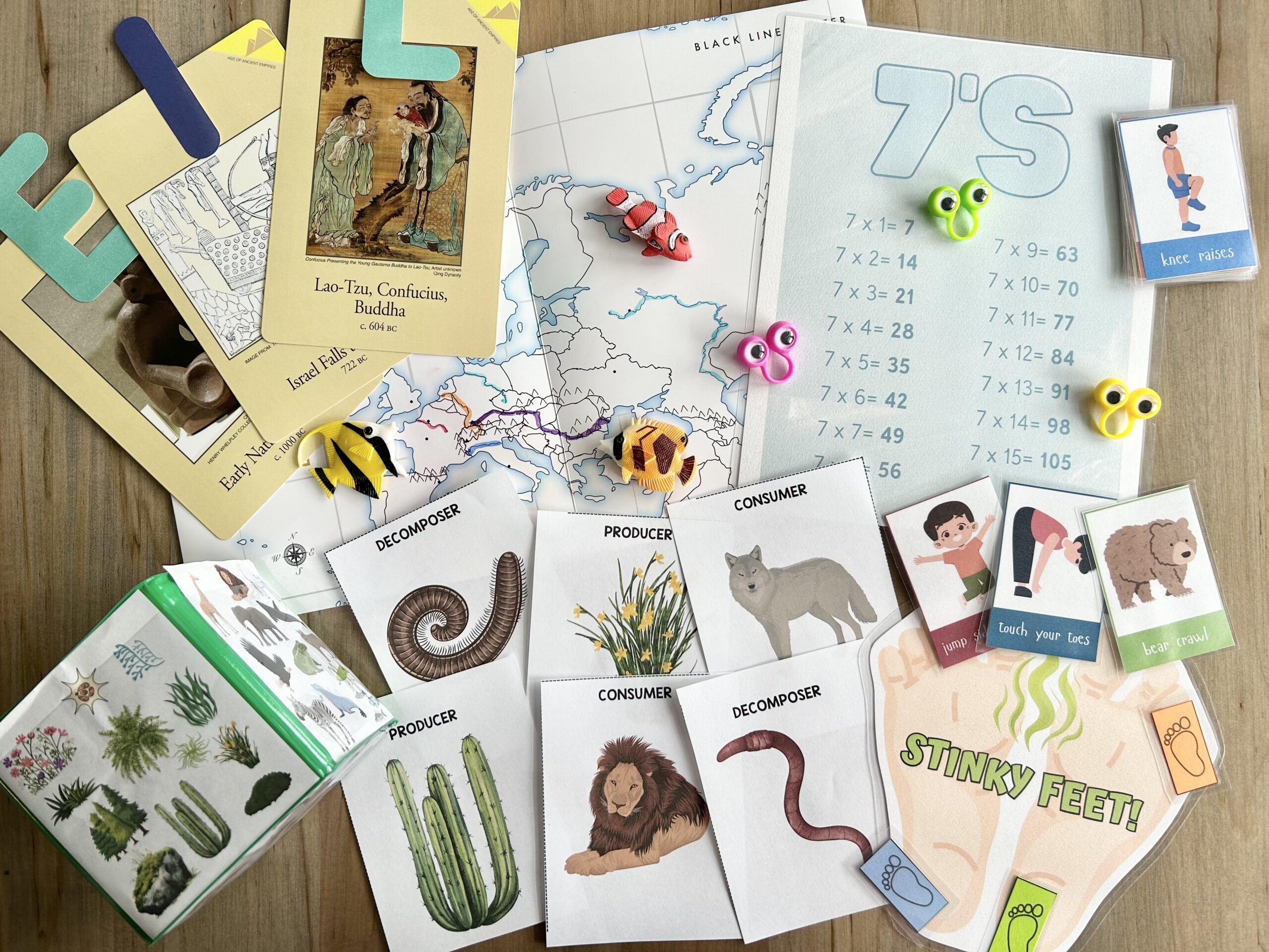 cycle 2 week 4 tutor resources spread out on table