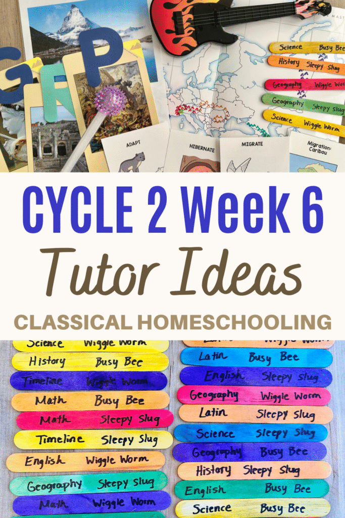cycle 2 week 6 tutor ideas pinterest pin