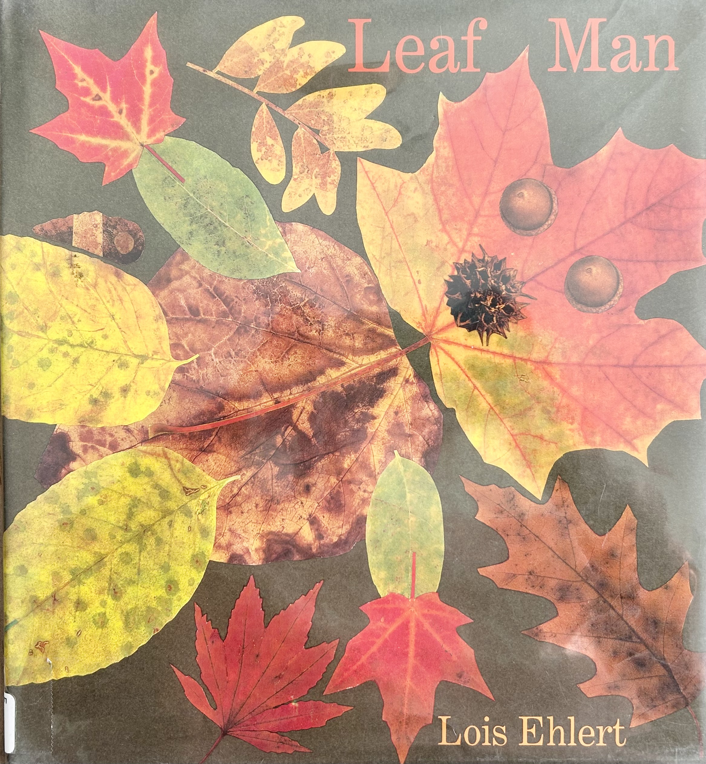 The book, Leaf Man by Lois Ehlert.
