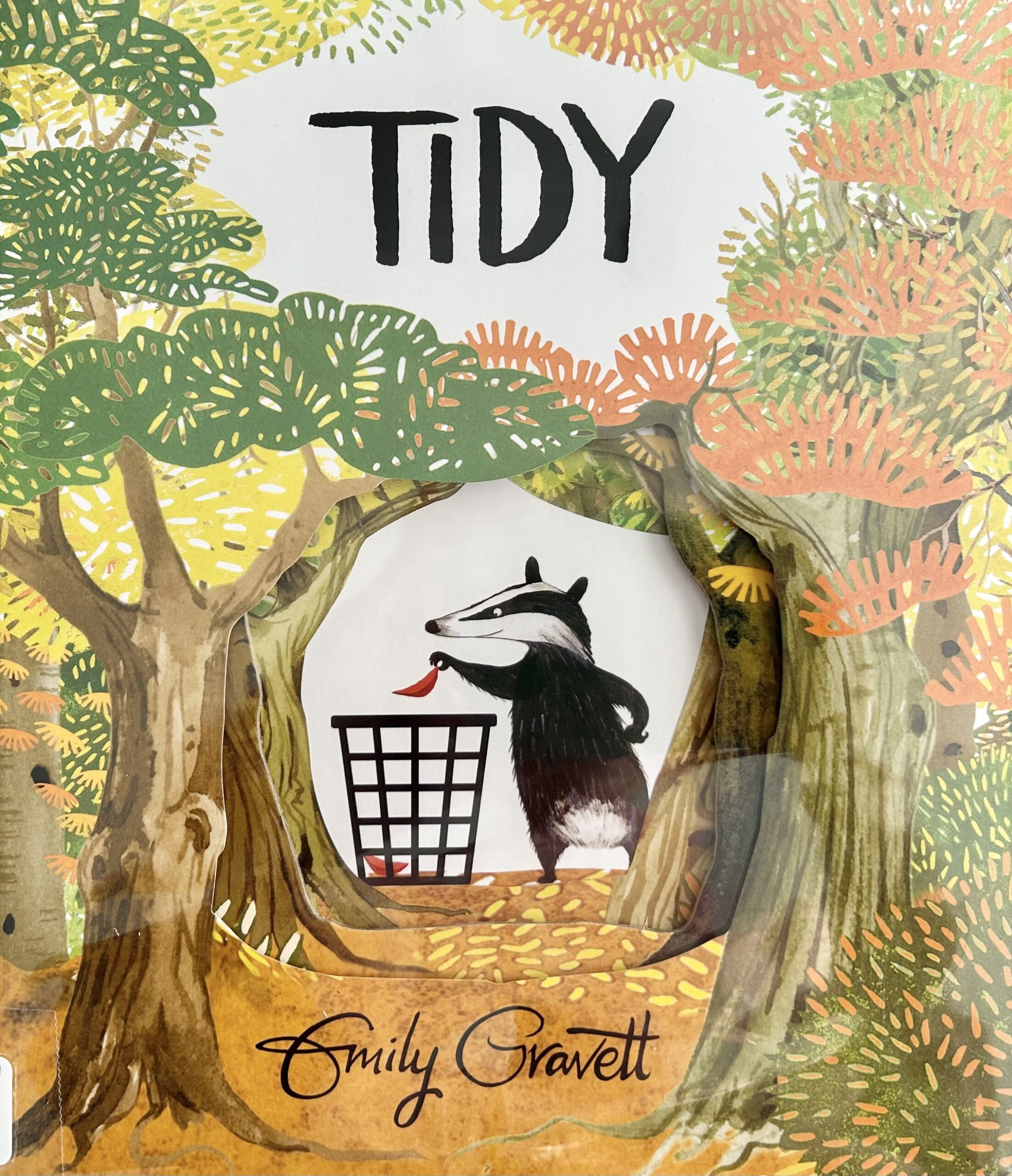 The book, Tidy by Emily Gravett.