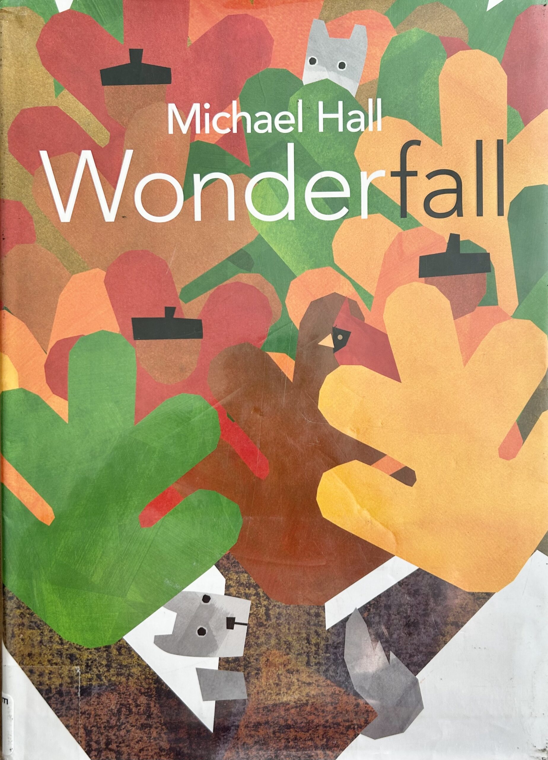 The book, Wonderfall by Michael Hall.