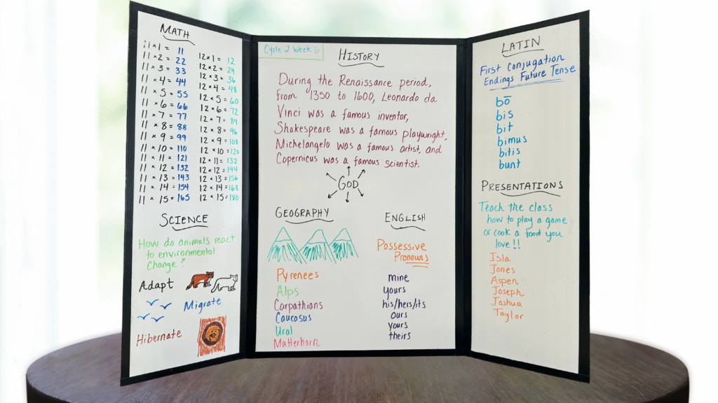 cycle 2 week 6 tutor board