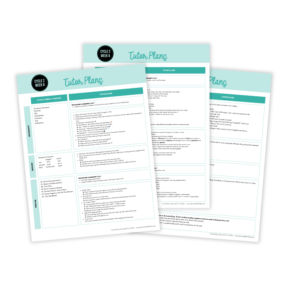 cycle 2 week 6 tutor plans template