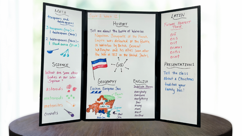 Cycle 2 Week 12 Tutor Board