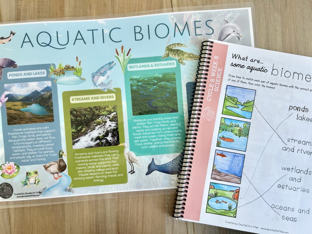 cycle 2 week 8 science aquatic biomes placemat and activity page