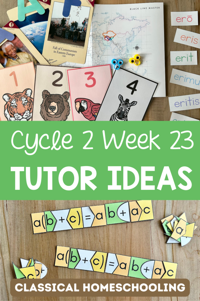 cycle 2 week 23 tutor ideas pinterest pin