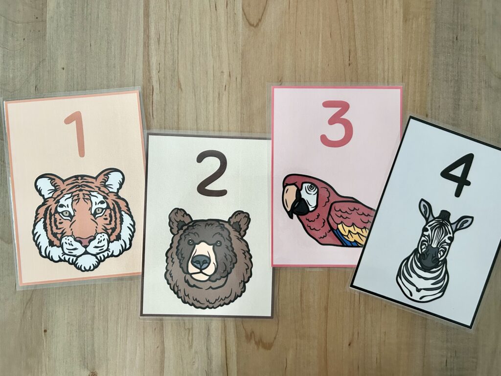 four corners cards with animals