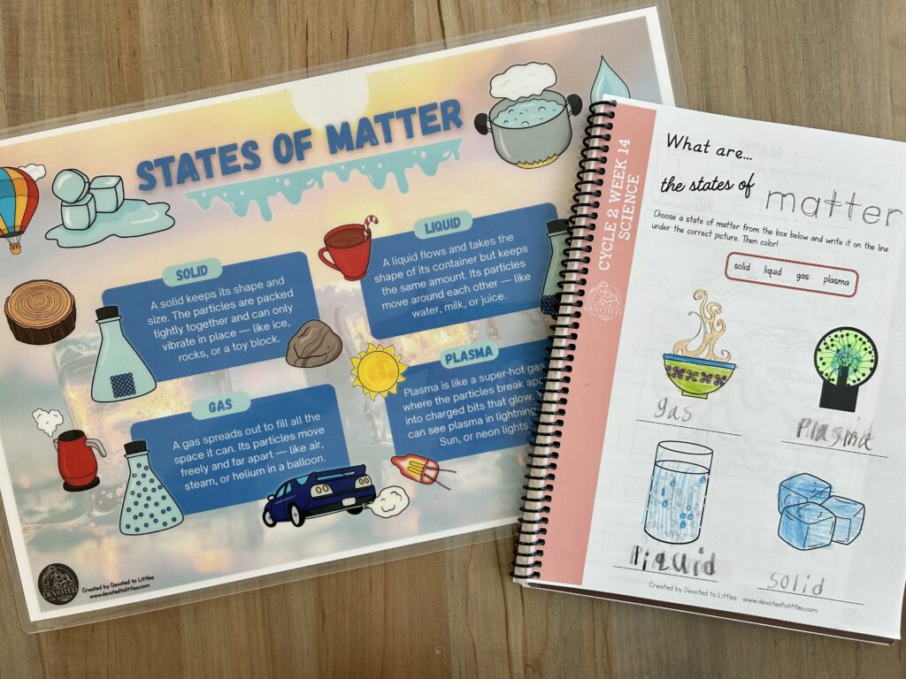 cycle 2 week 14 science placemat and activity page