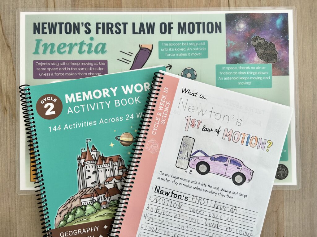 Newton's first law of motion placemat and activity page