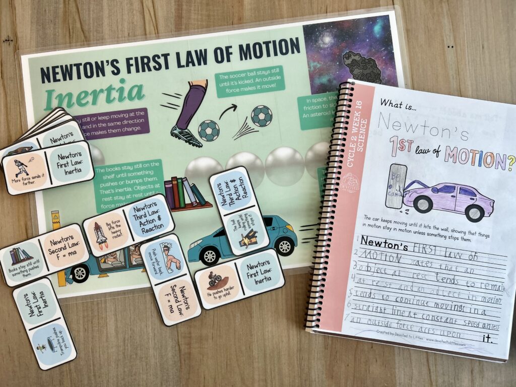newton's law of motions dominoes game