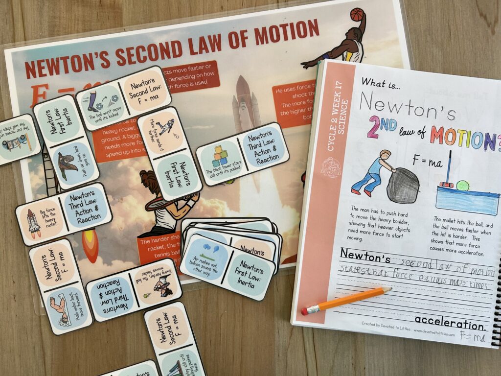 newton's law of motions dominoes game