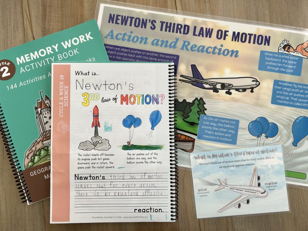 newton's third law of motion activity page with placemat