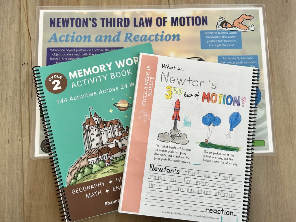 newton's 3rd law of motion activity page