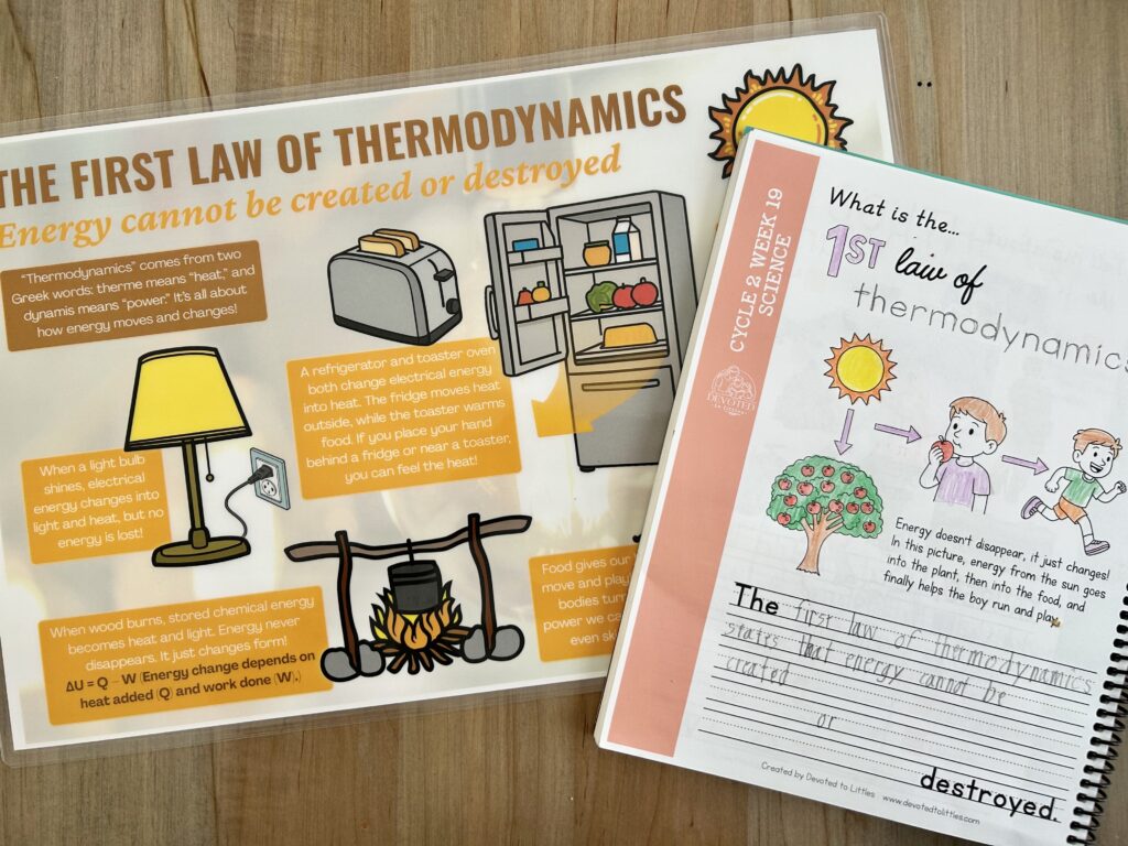 cycle 2 week 19 science