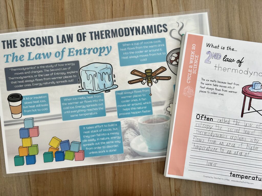 cycle 2 week 20 science placemat