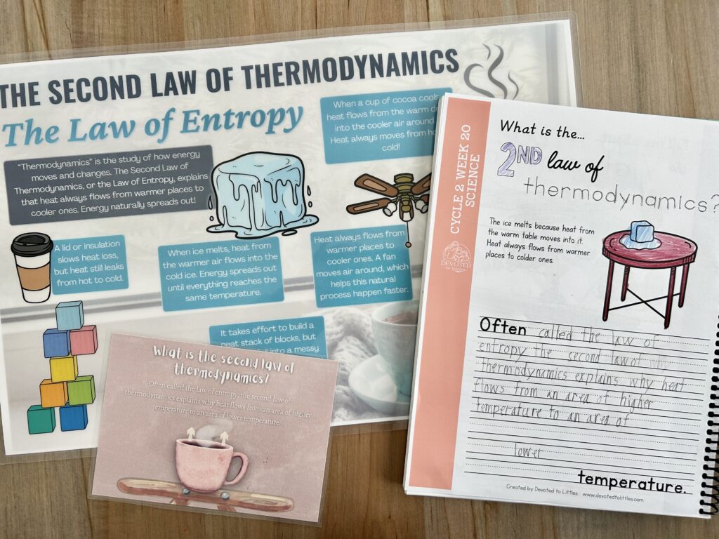 cycle 2 week 20 science materials