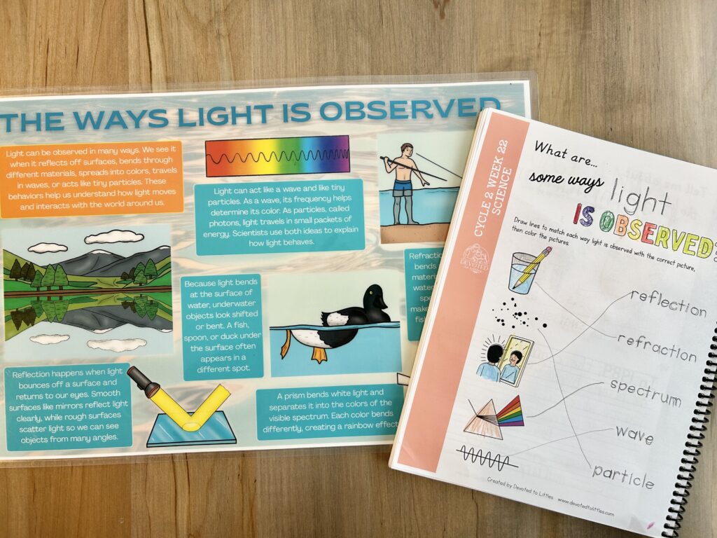 week 22 science activity page and placemat