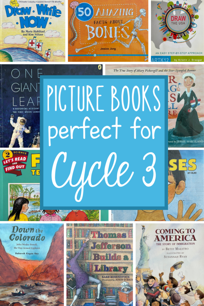 cycle 3 picture book pinterest pin