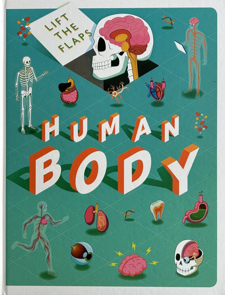 The book, Lift the Flaps: Human Body by IglooBooks