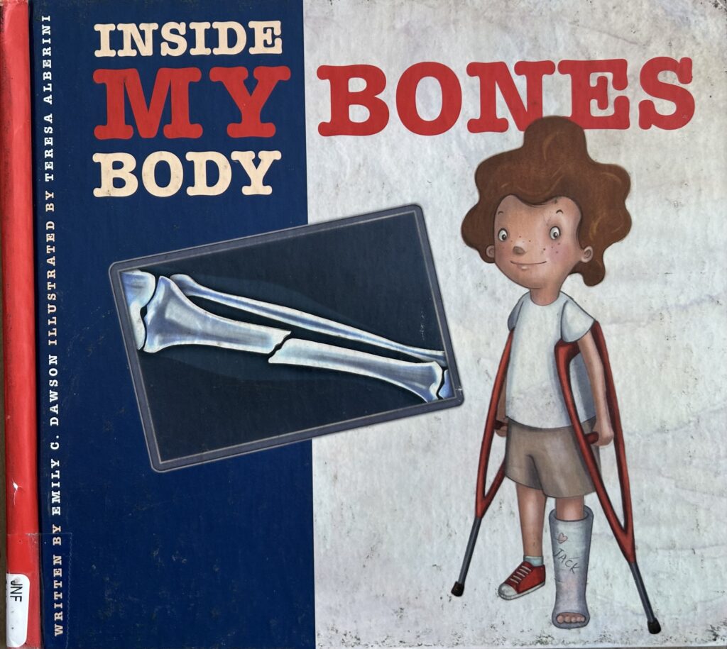 The book, Inside My Body: Bones by Emily C. Dawson