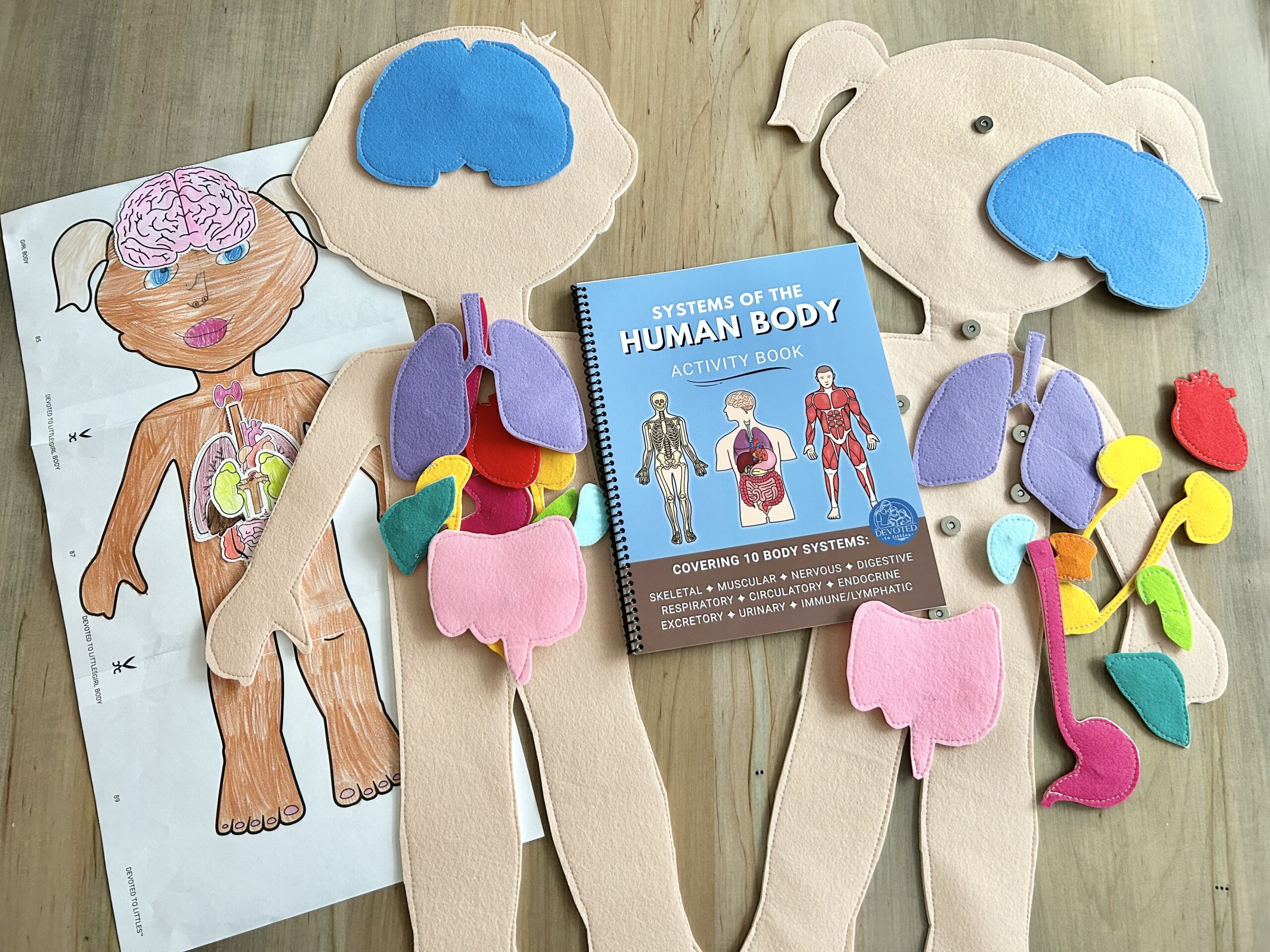 human bodies made of felt and activity book on table