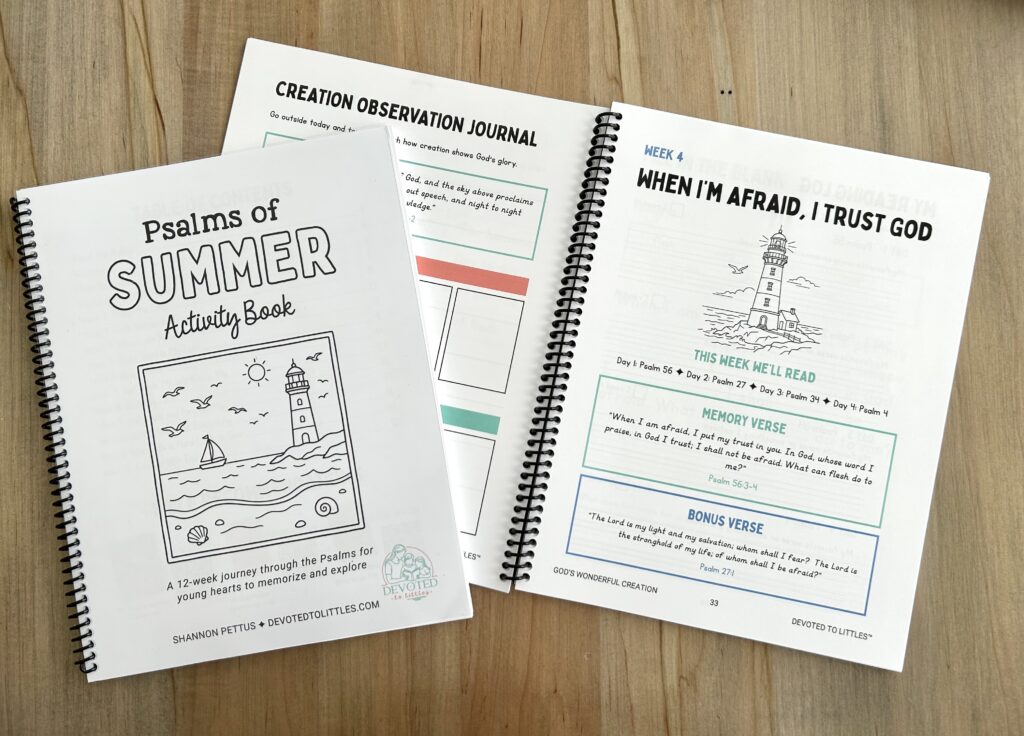 psalms of summer activity book