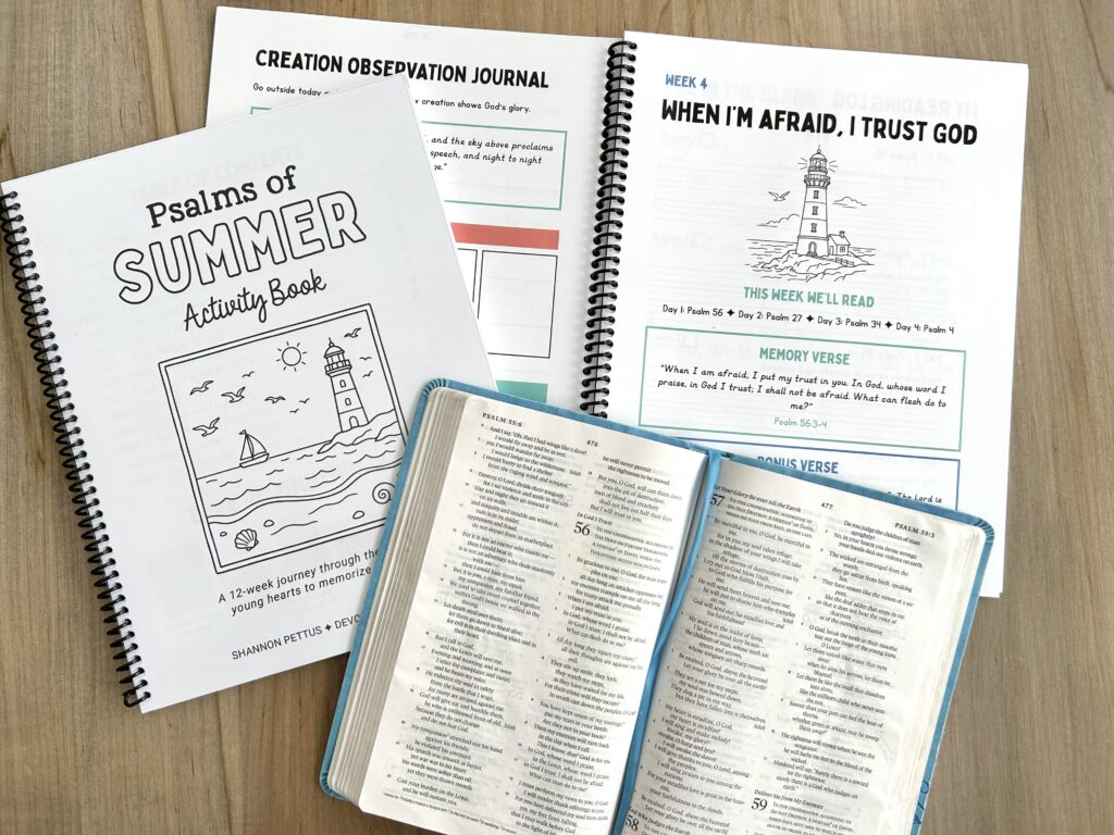 psalms of summer activity book with bible